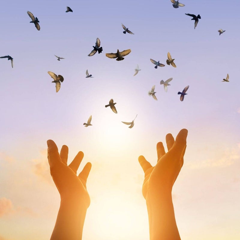 ressenti lors d'une séance lahochi centre de formation papillon avec Mélanie GUILAIN