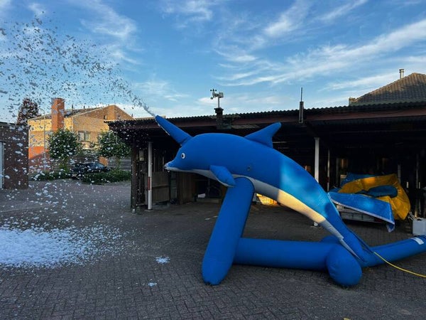 Schuimkanon dolfijn