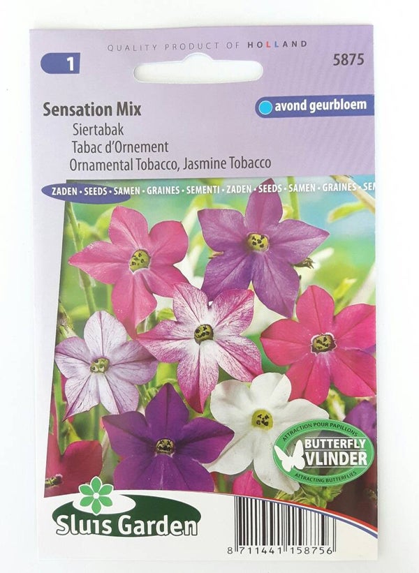 Siertabak Sensation mix (Nicotiana)