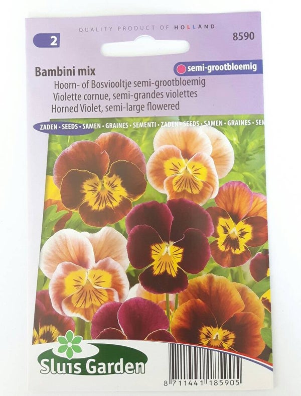 Hoorn- of Bosviooltje, Bambini mix