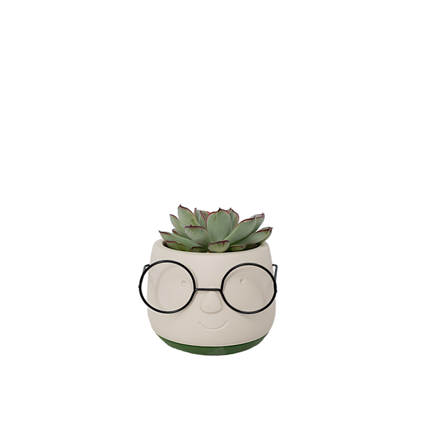 Pot incl vetplant
