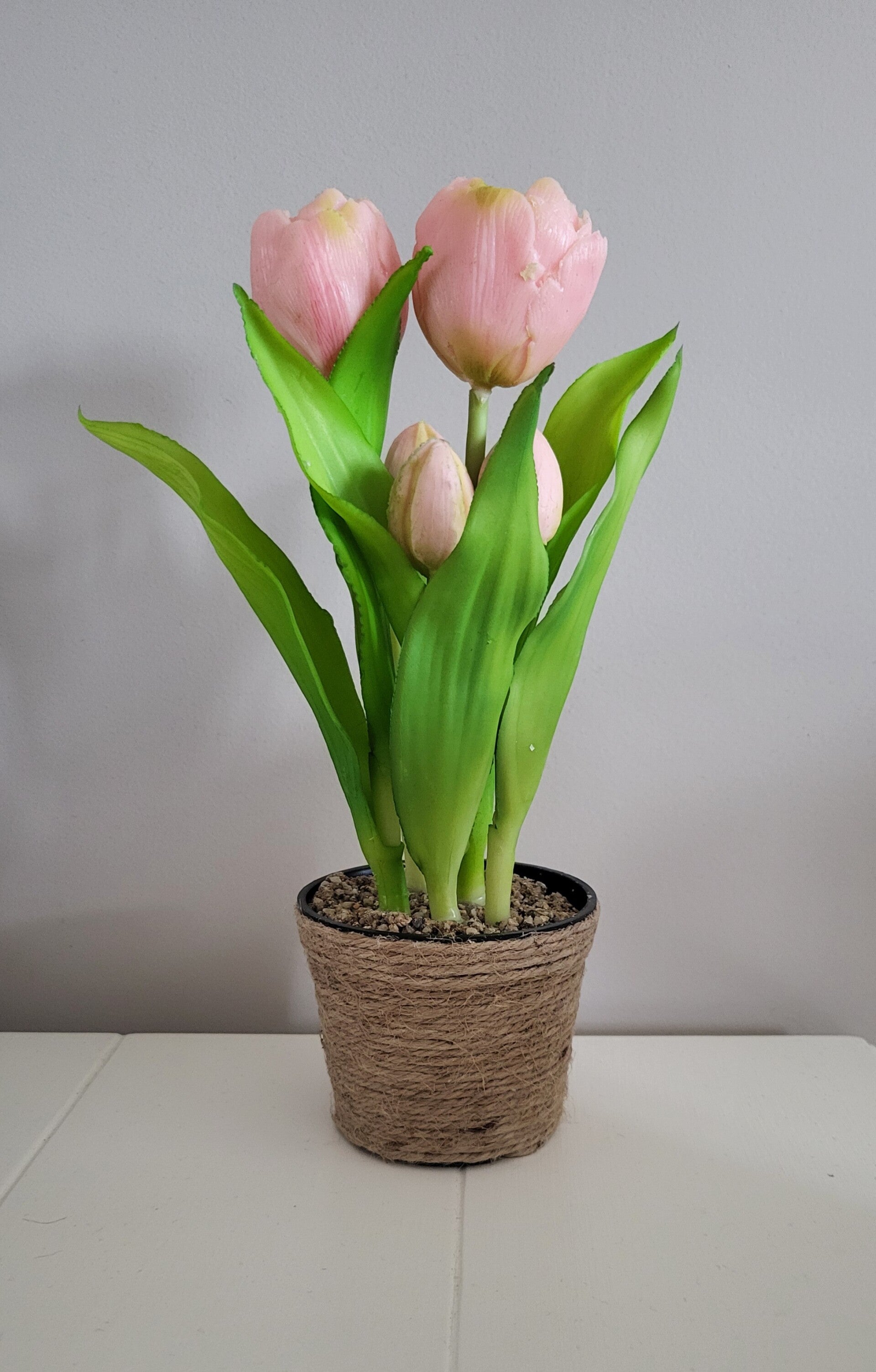 Tulpen met jute