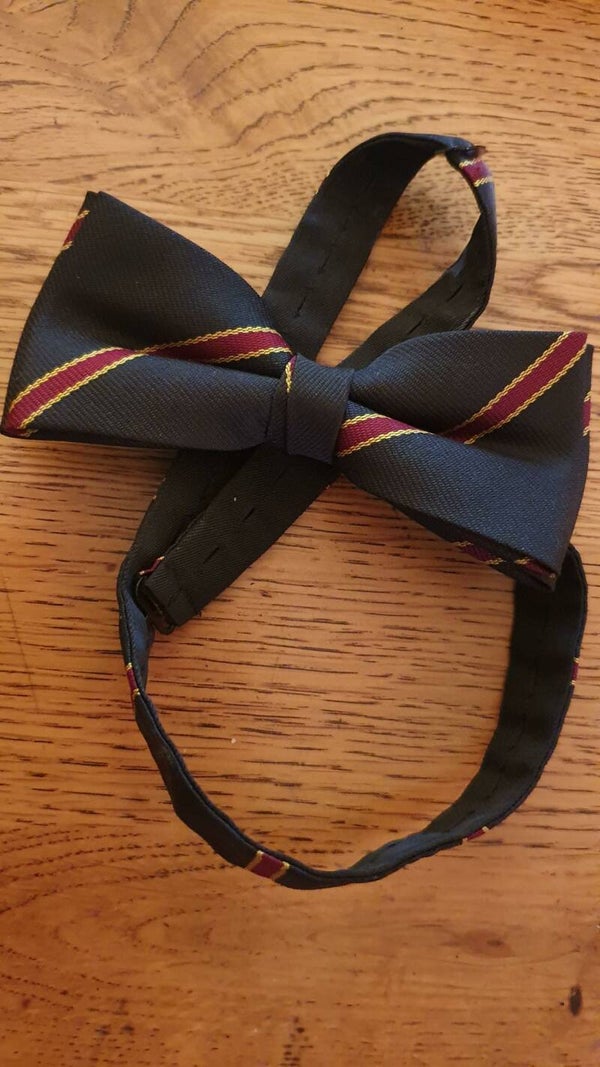 Vlinderdas Regiment Intendance Troepen