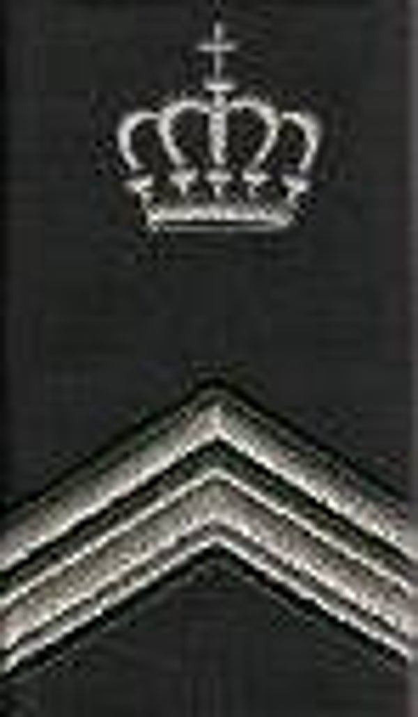 Wachtmeester 1e Klas Cavalerie Instructeur/ Sergeant 1e Klas Militaire Administratie Instructeur