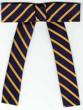 Dames Lavalliere Logistiek Regiment Bevoorradings- & Transporttroepen