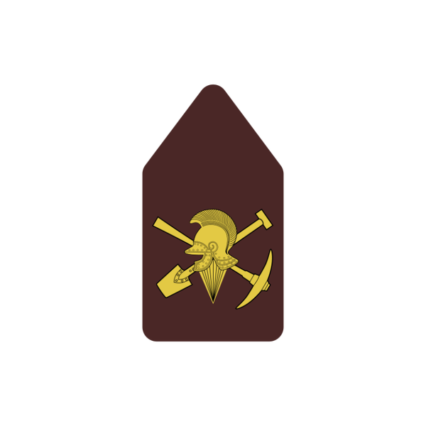 Regiment Genie Troepen Pioniers