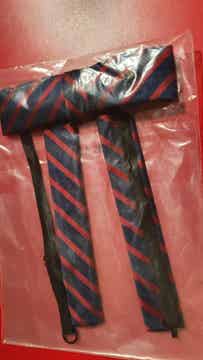 Dames lavalliere Regiment Bevoorradings- & Transport Troepen