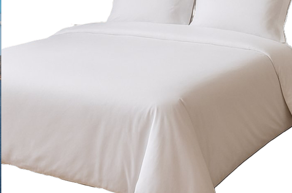 1 Grande Housse de couette 2 personnes haute gamme 23 Euros