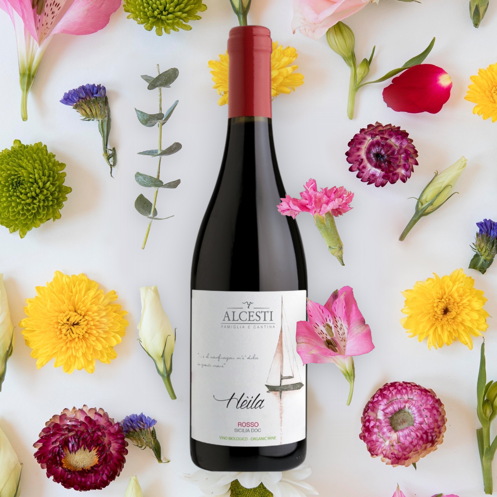 HEILA Rosso DOC Bio - Alcesti