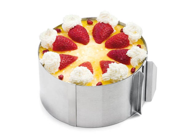 Karl Weis verstelbare taartring 30 cm RVS