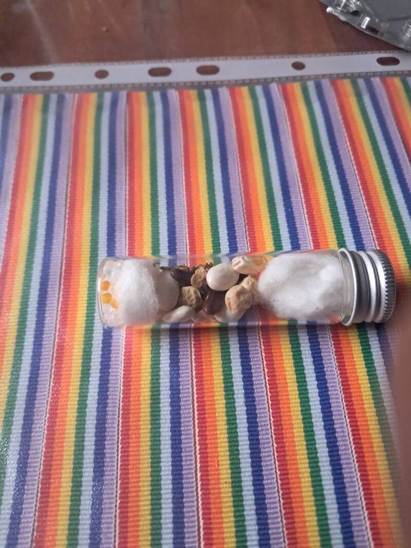 Poliploide Samen Mix