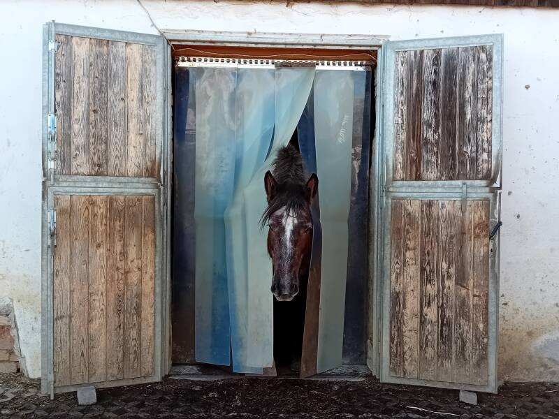 Wo ist das Vögelchen?