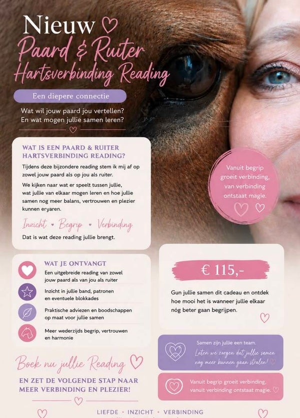 Reading Paard & Ruiter
