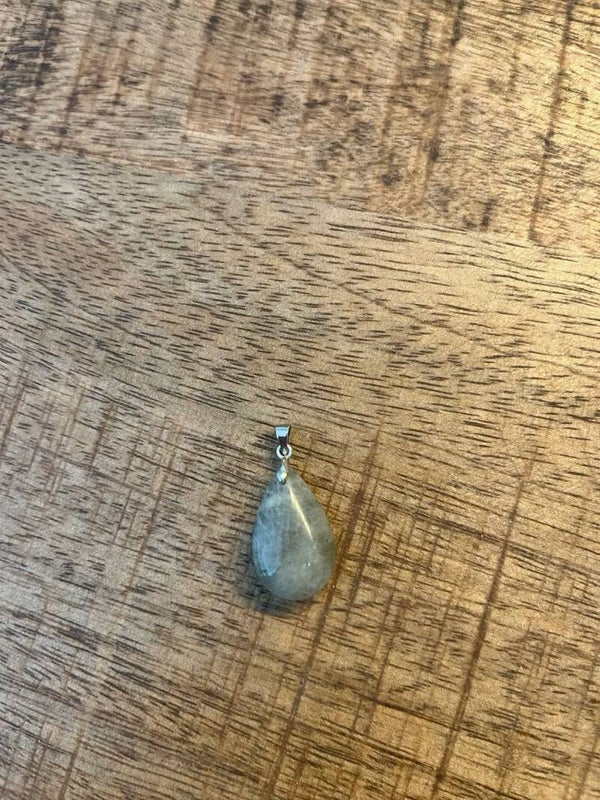 Labradoriet hangertje
