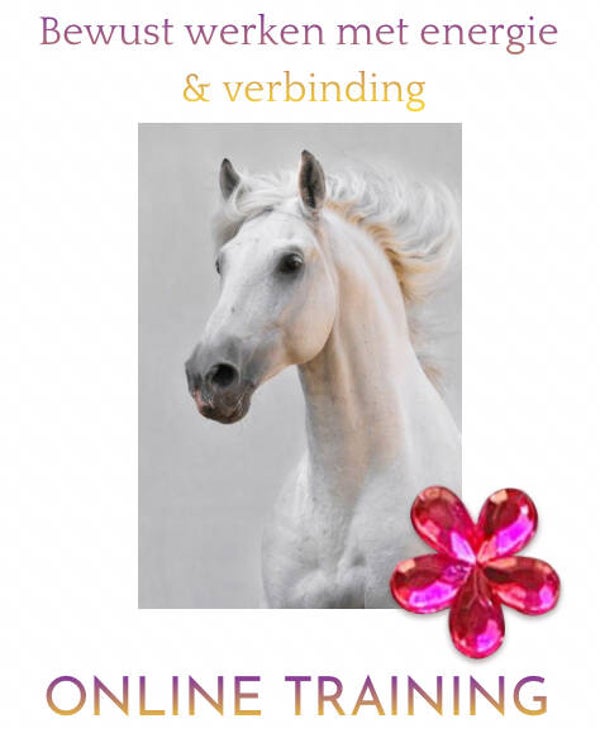 Bewust werken met energie en verbinding