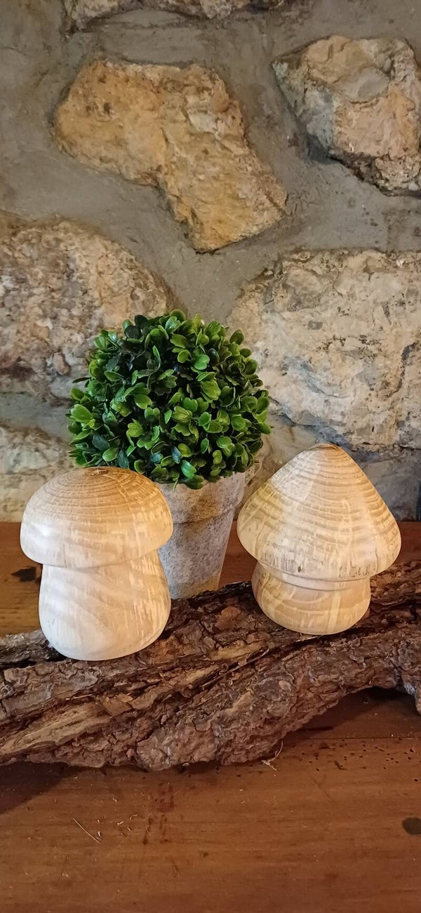 Champignons en bois échauffé 🍄‍🟫🍄