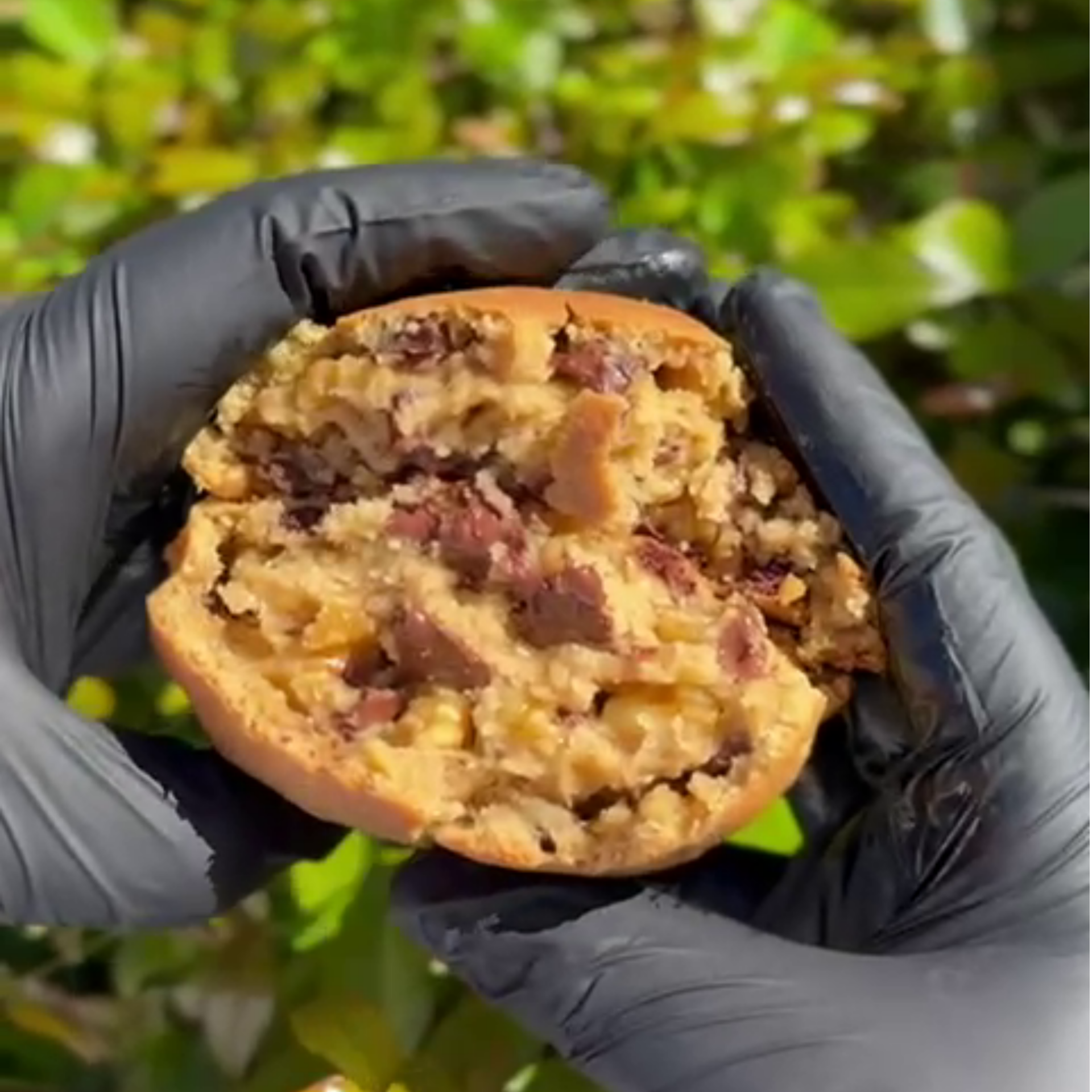 Chocolate chips and Walnuts