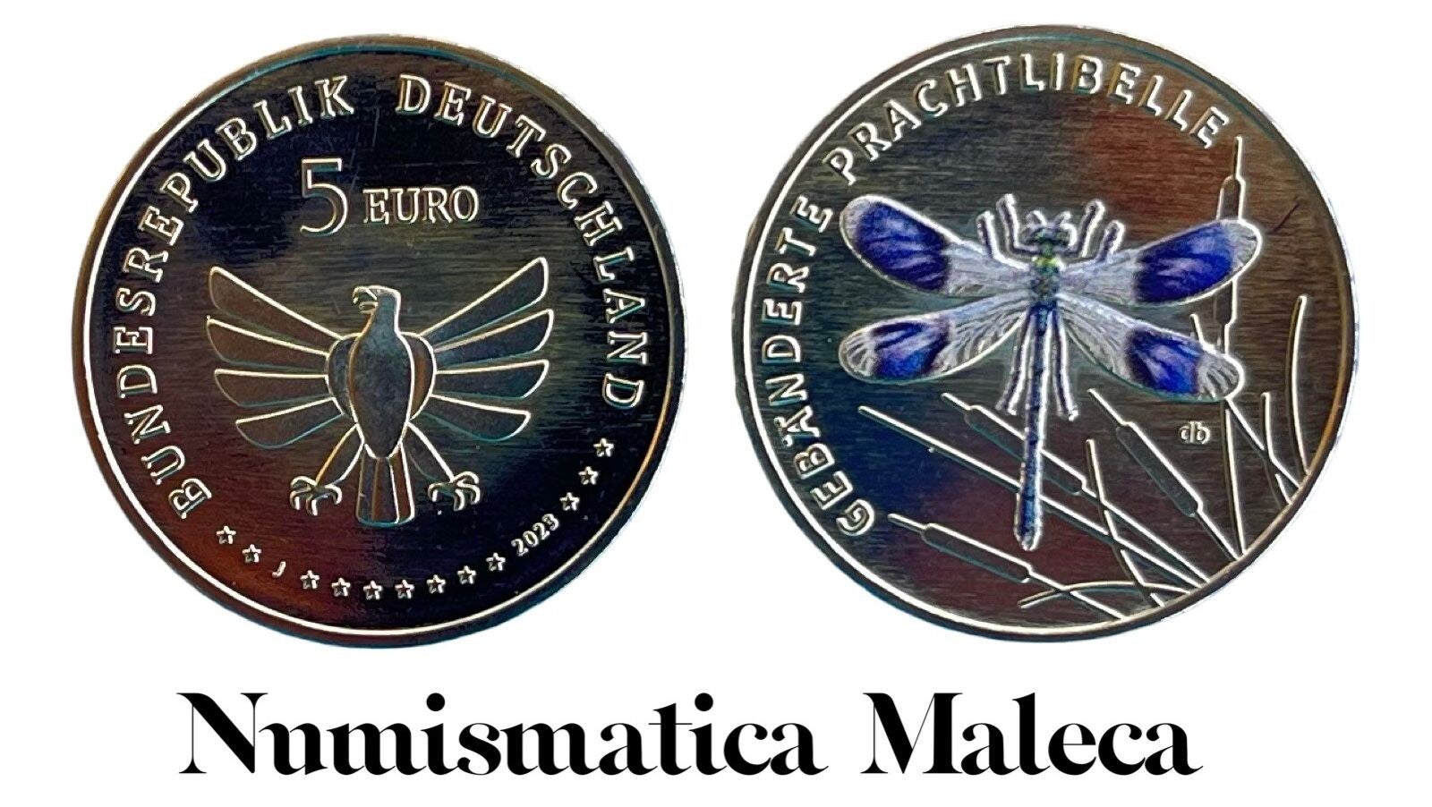 Alemania 5 Euros 2023, Coloriusada Unc