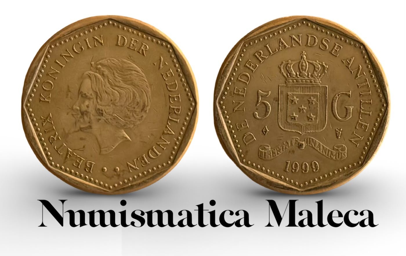 Antillas Holandesas 5 Gulden 1999, Km43 fina