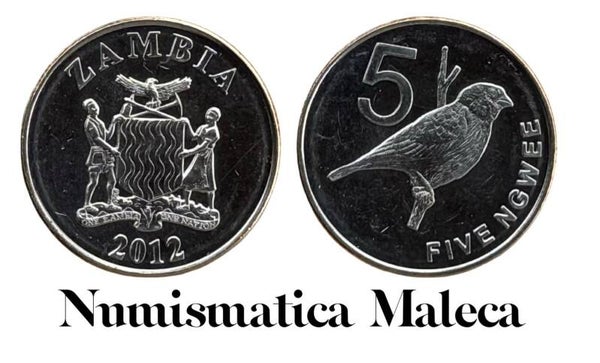Zambia 5 Ngwee 2012 Km205 Unc