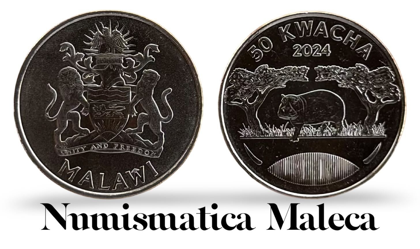 Malawi 50 Kwachas 2024, MW320 Unc