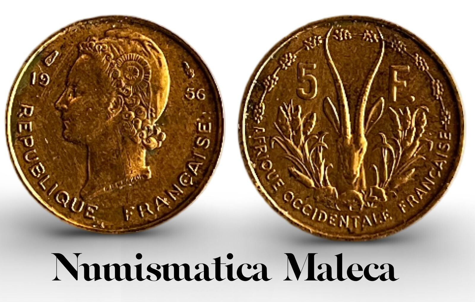 Africa Occidental Francesa 5 Francs 1956, Km6 XF