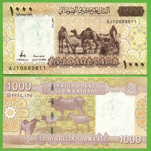 Somalia 1000 Shillin 2010, P-42 Unc