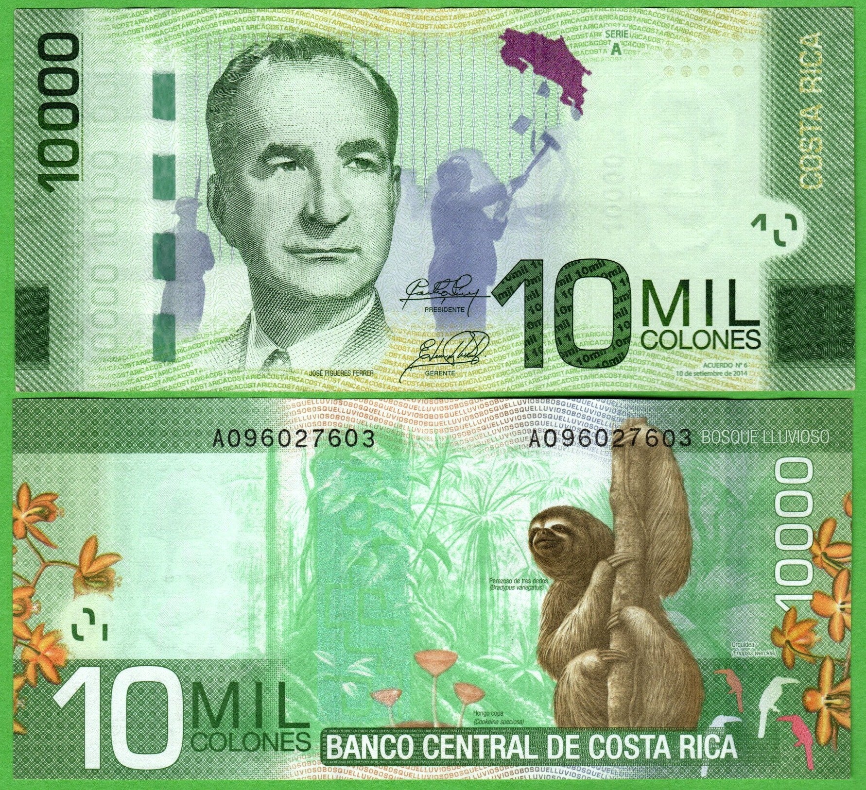 Costa Rica 10,000 Colones 2014, P-277b AU