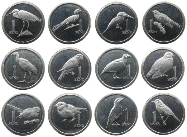 Samoa Set 12 Monedas Aves Unc