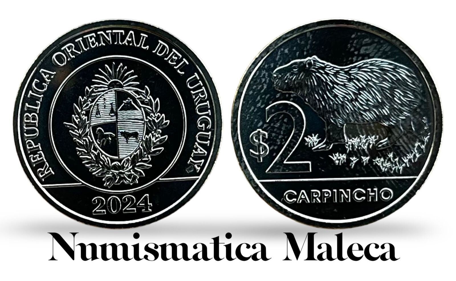 Uruguay 2 Pesos 2024, Km136 Unc