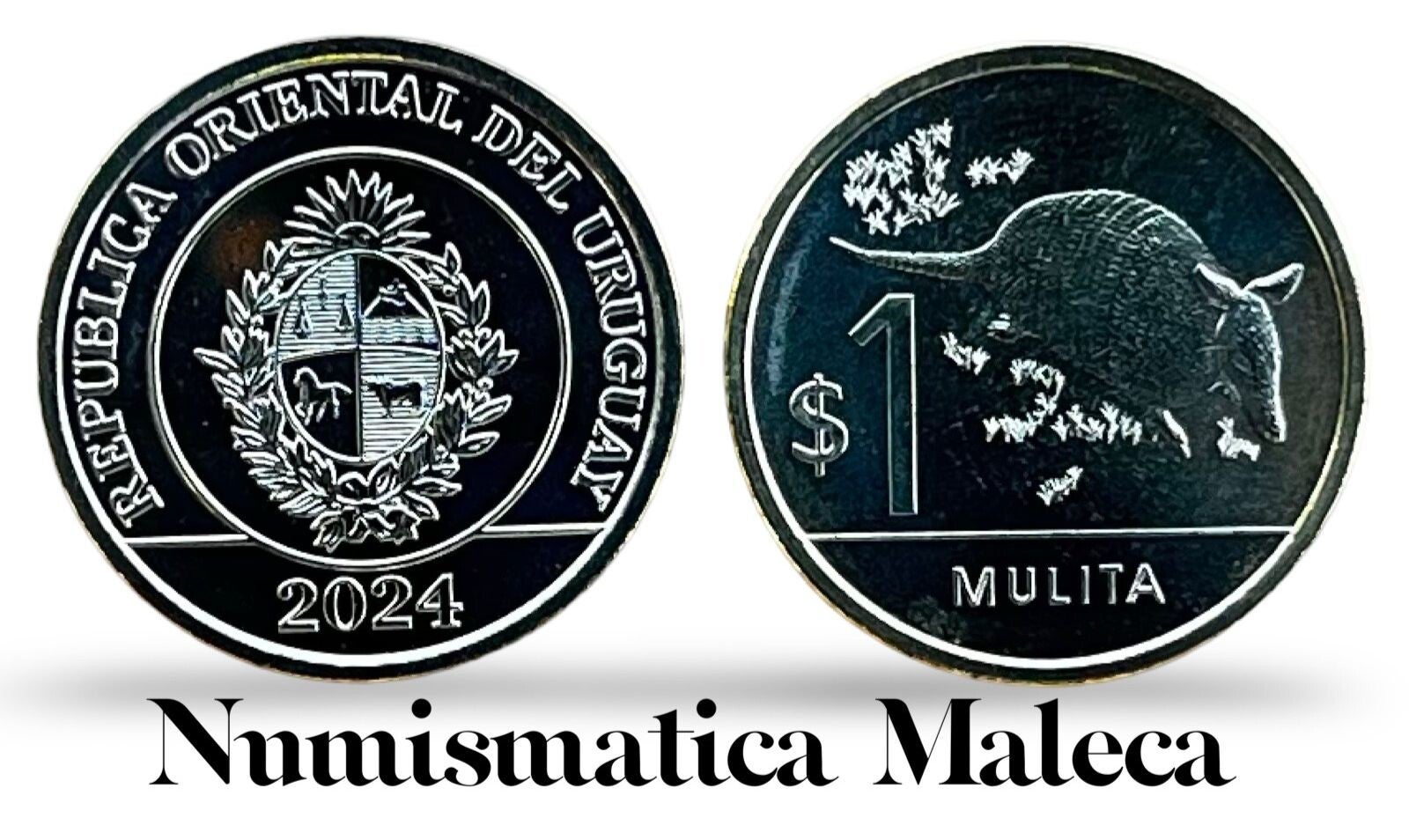 Uruguay 1 Peso 2024, Km134 Unc