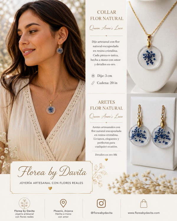 Encaje de la Reina Flor azul