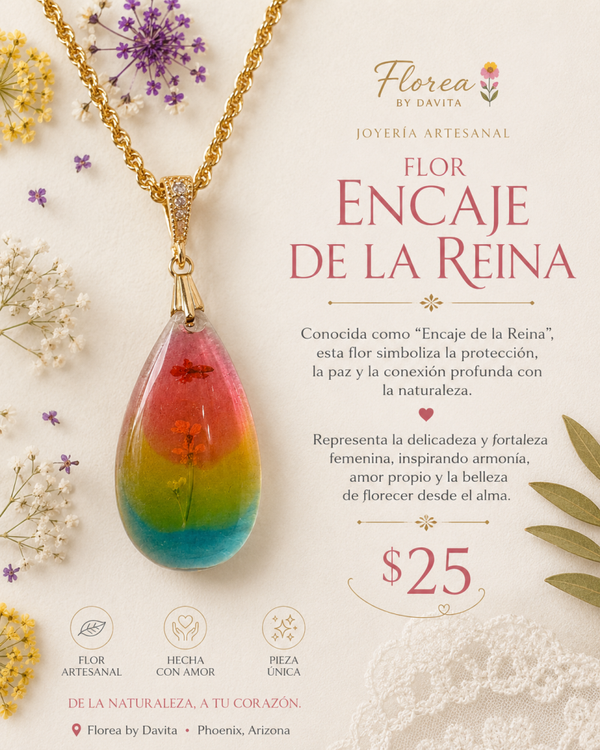 Flor única de La encaje de la Reina