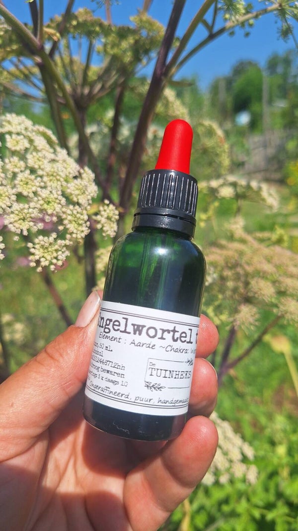 Engelwortel tinctuur