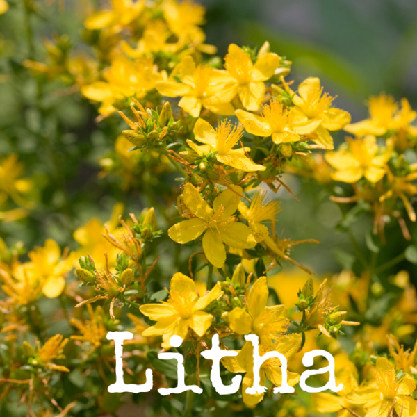 Litha | 18.06.2027