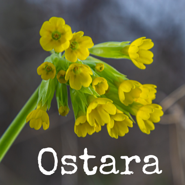 Ostara | 19.03.2027