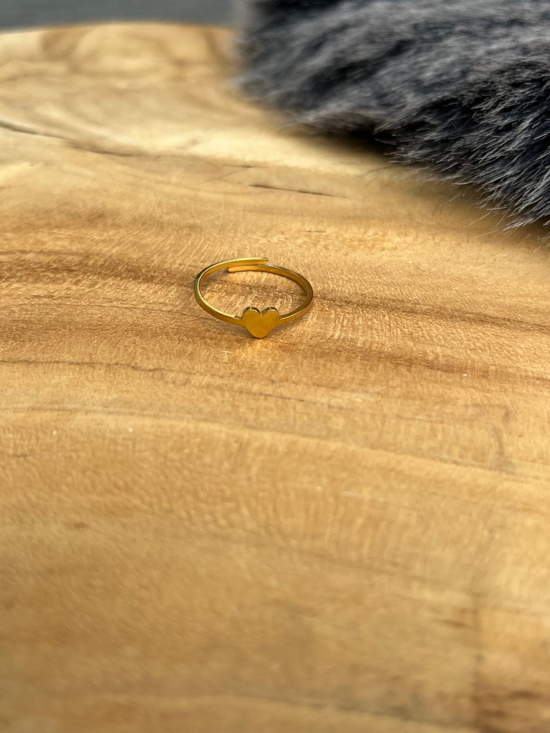R011 - Stainless Steel ring