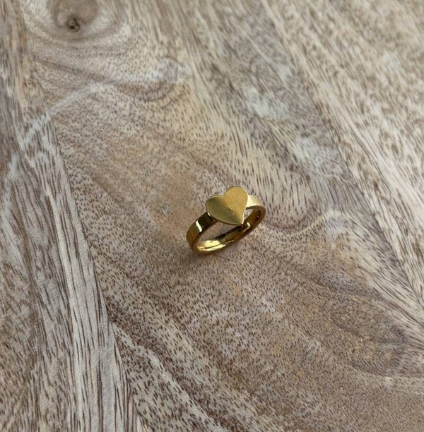 R033 - Stainless Steel ring