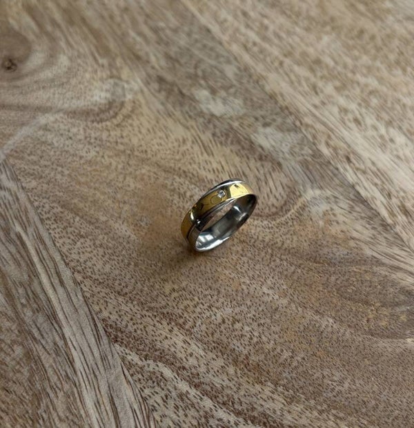 R034 - Stainless Steel ring