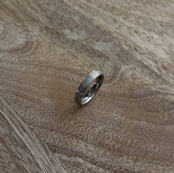 R035 - Stainless Steel ring