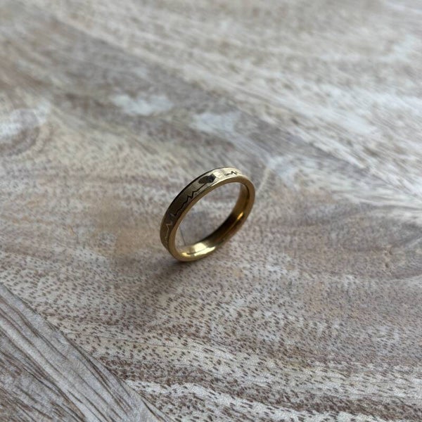 R039 - Stainless Steel ring