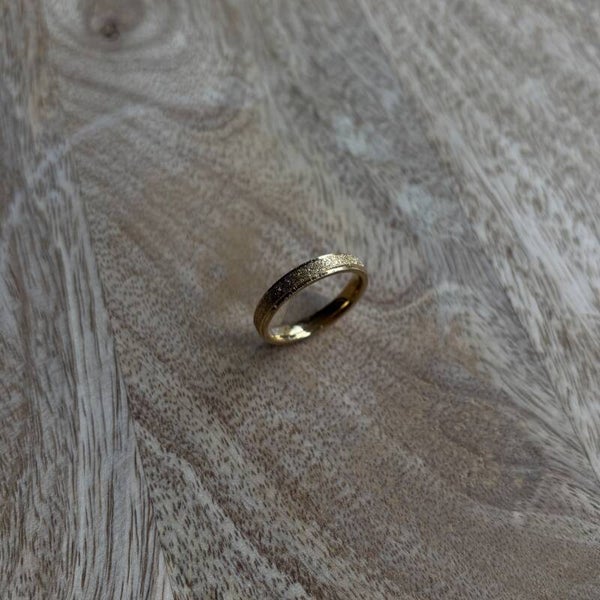 R049 - Stainless Steel ring