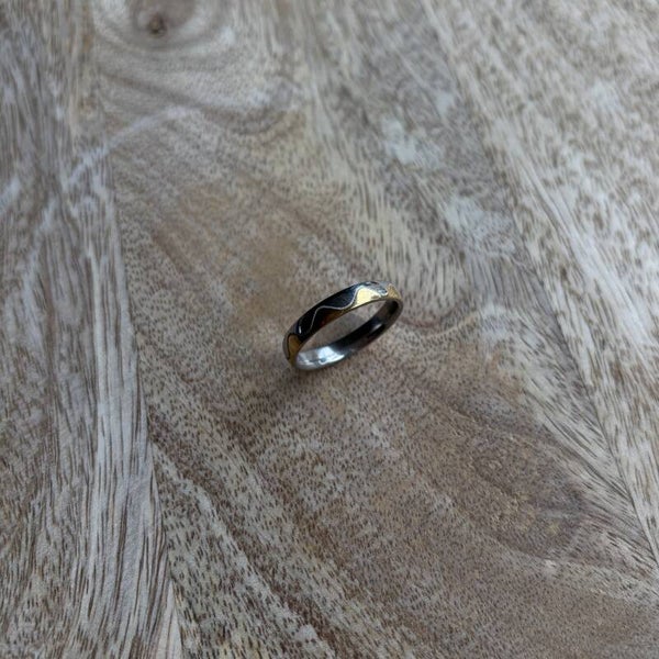 R051 - Stainless Steel ring