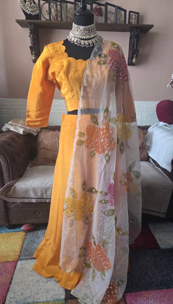 Lehenga mango