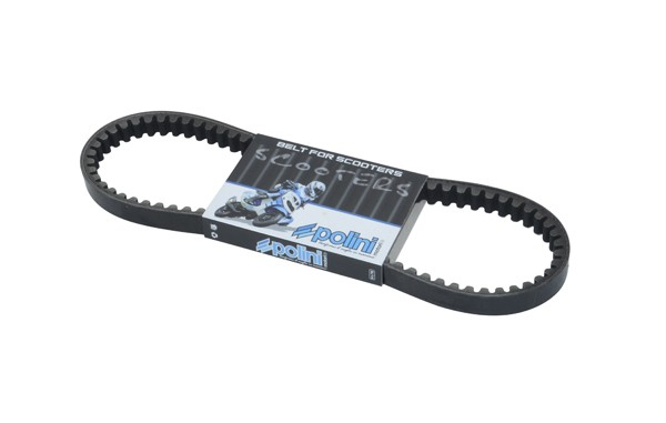 v-snaar minarelli hor+vert polini 248.003 