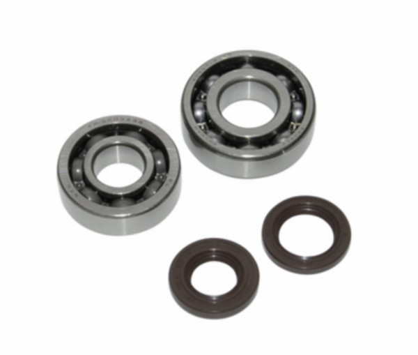 lager+keerringset agi/ china4t/ sco gy6/ sco kym4t DMP