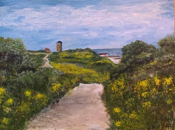 duinen bij Domburg