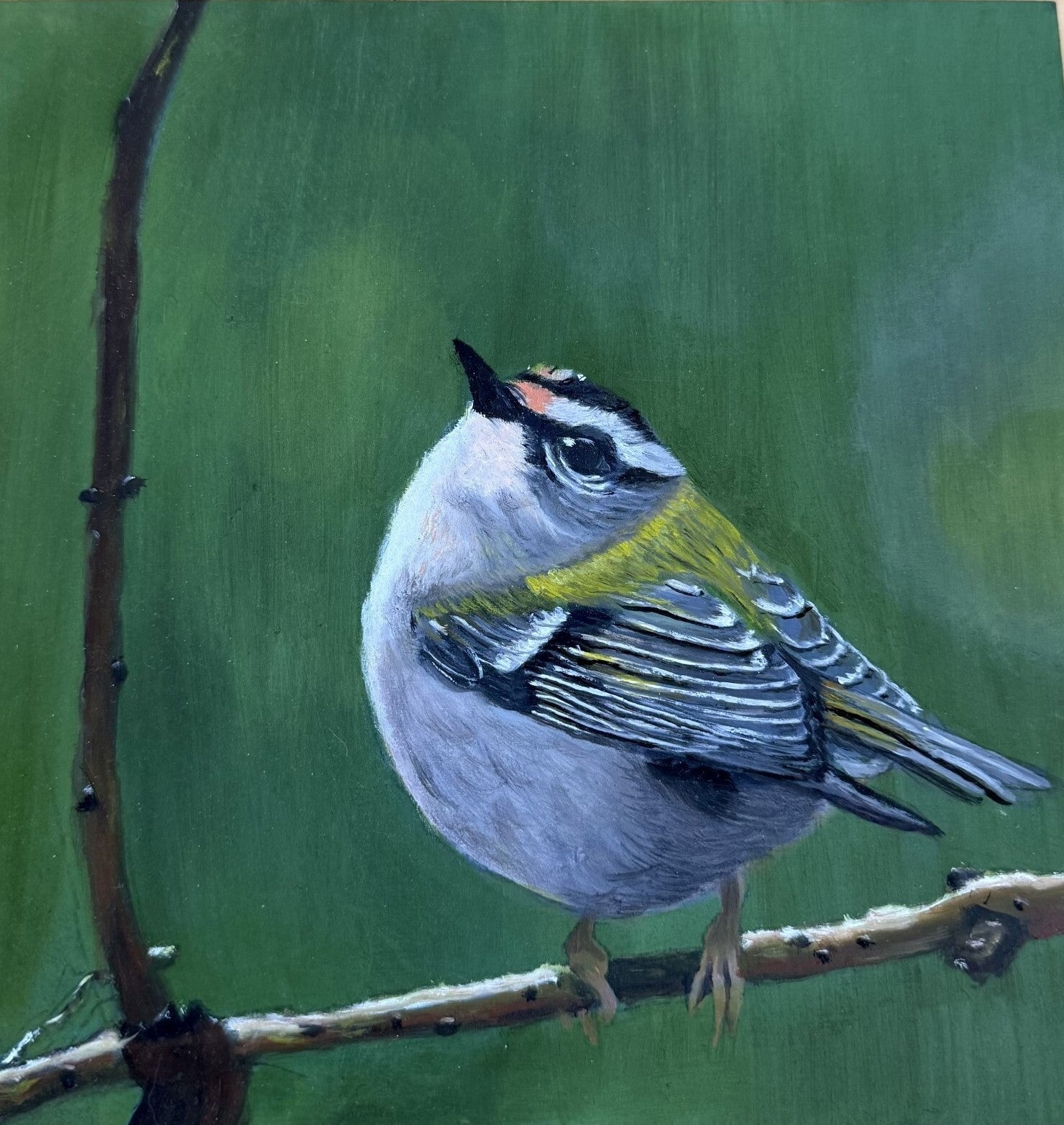 vogeltje
