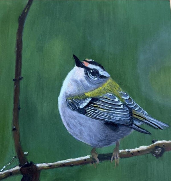 vogeltje