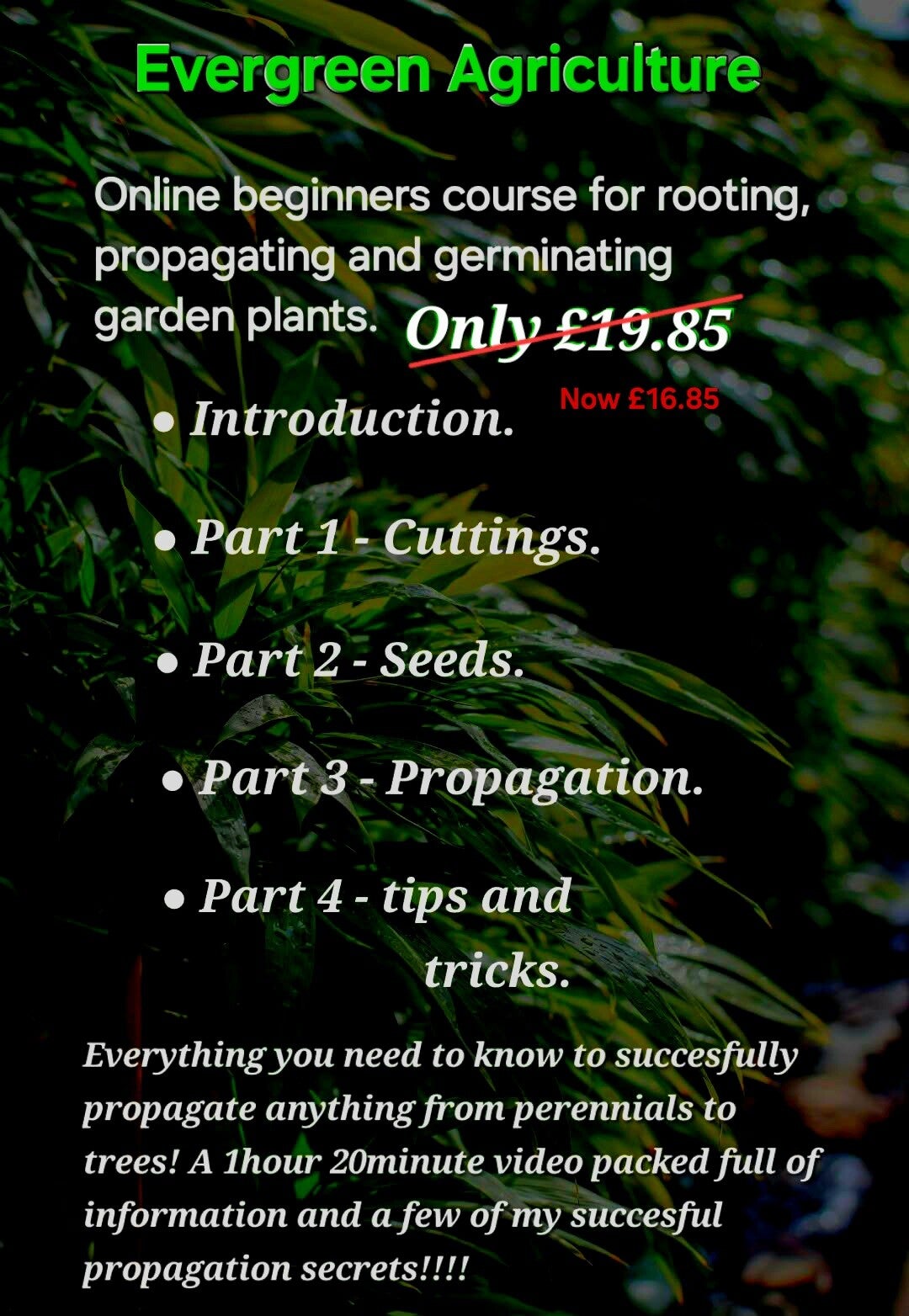 Online propagation course for beginner gardeners